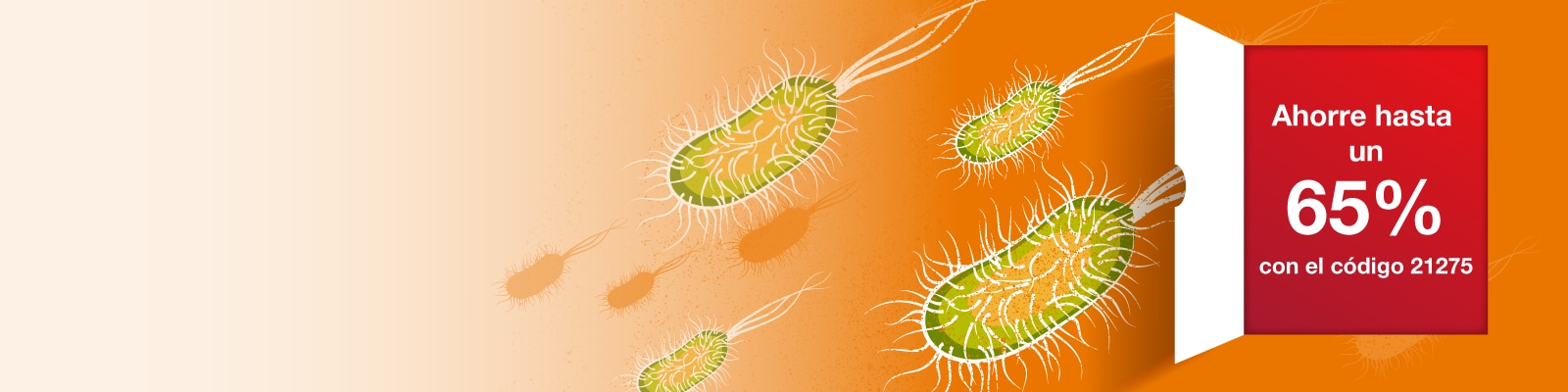 Banner de Transformación de E.coli