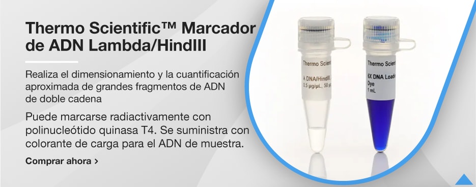 Thermo Scientific™ Marcador de ADN Lambda/HindIII