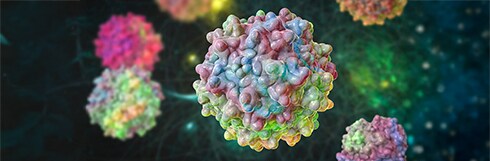 Why Should You Consider SEC to Analyze AAV Aggregates? Why Should You Consider SEC to Analyze AAV Aggregates?